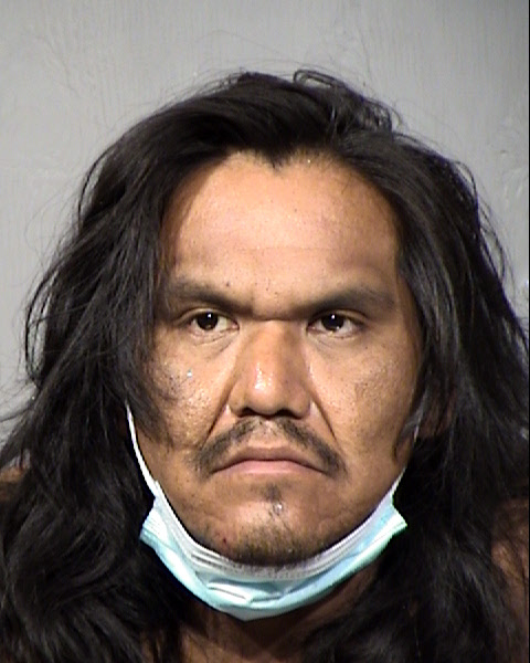 Hamilton Wade Paya Mugshot / Maricopa County Arrests / Maricopa County Arizona