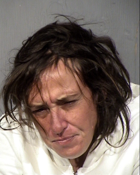 Dawn Renee Thies Mugshot / Maricopa County Arrests / Maricopa County Arizona