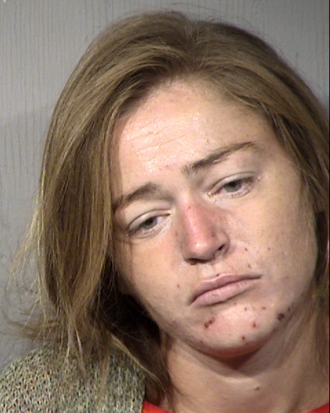 Kristianne Vanplantinga Mugshot / Maricopa County Arrests / Maricopa County Arizona