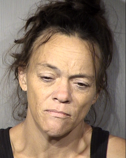 Cynthia Stotz Mugshot / Maricopa County Arrests / Maricopa County Arizona