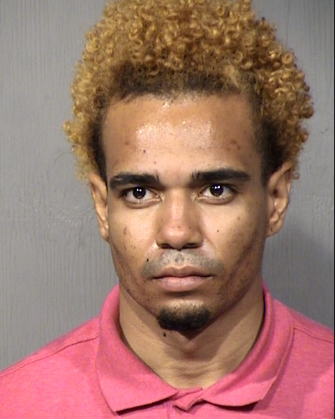 David Williams Mugshot / Maricopa County Arrests / Maricopa County Arizona