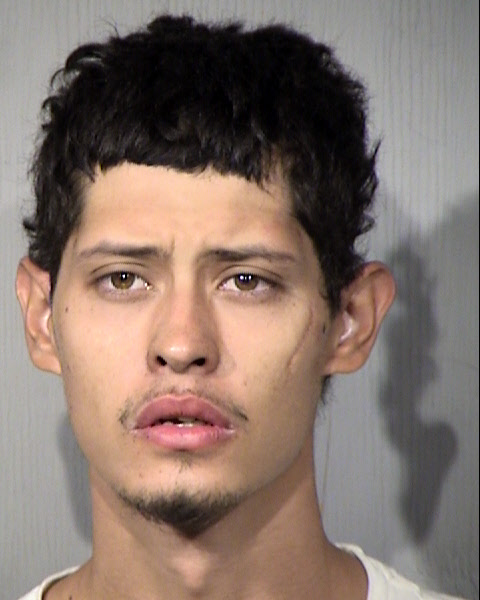 Tyler Michael Mckee Mugshot / Maricopa County Arrests / Maricopa County Arizona