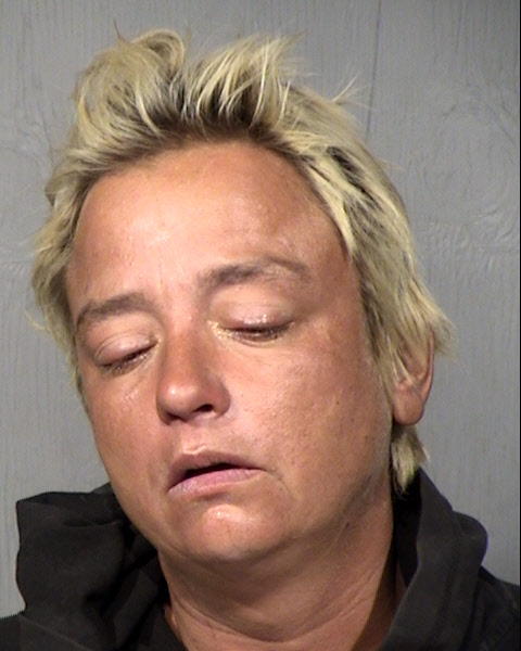 Lou Ellen Catrin Stone Mugshot / Maricopa County Arrests / Maricopa County Arizona