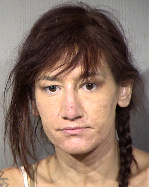 Jessica Mary Aniol Mugshot / Maricopa County Arrests / Maricopa County Arizona