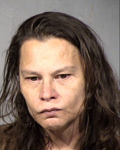 Karen Alexis Fischer Mugshot / Maricopa County Arrests / Maricopa County Arizona