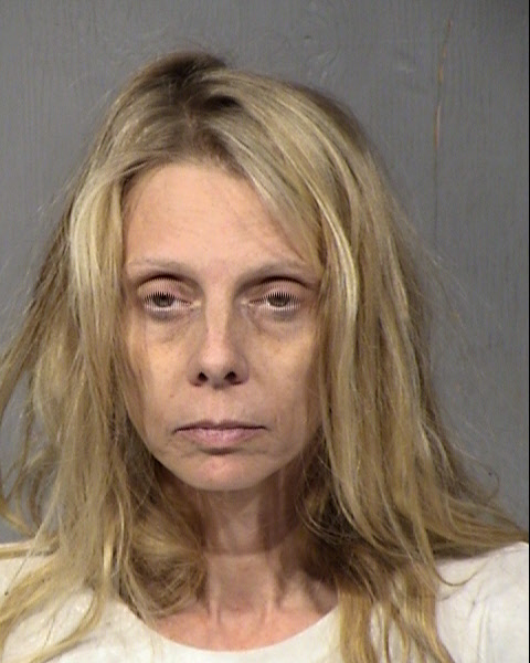 Lea Kristen Tomlinson Mugshot / Maricopa County Arrests / Maricopa County Arizona