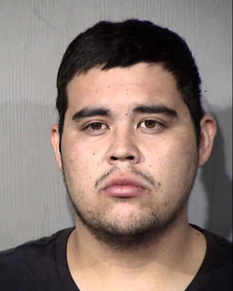 Llogan Aaron Waggoner Mugshot / Maricopa County Arrests / Maricopa County Arizona