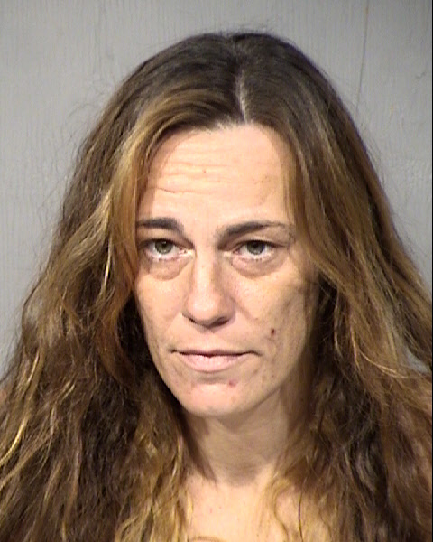 Kimberly Palm Mugshot / Maricopa County Arrests / Maricopa County Arizona