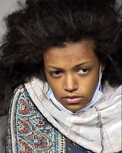 Lauren T Sims Mugshot / Maricopa County Arrests / Maricopa County Arizona