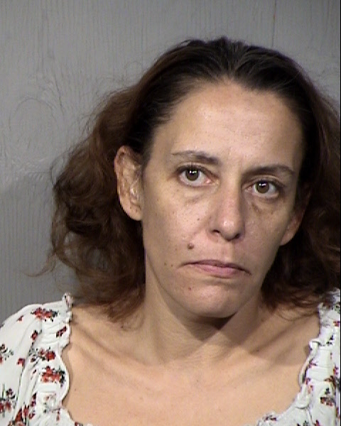 Amy Beth Meins Mugshot / Maricopa County Arrests / Maricopa County Arizona