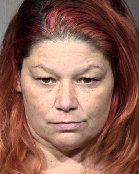 Trina Ortiz Mugshot / Maricopa County Arrests / Maricopa County Arizona
