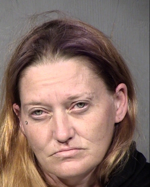Renee Ann Polmanteer Mugshot / Maricopa County Arrests / Maricopa County Arizona