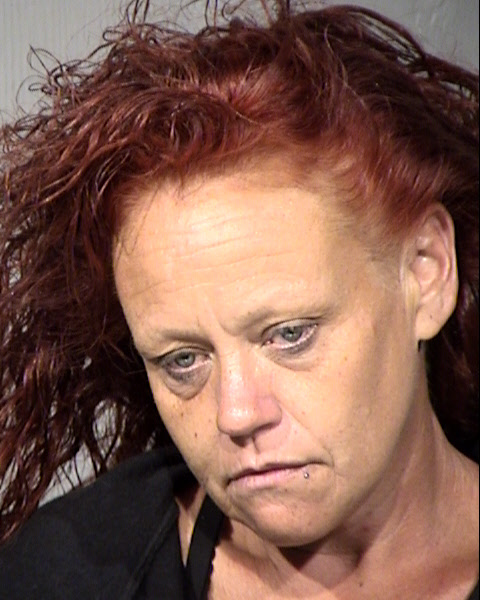 Karen Denise Akins Mugshot / Maricopa County Arrests / Maricopa County Arizona
