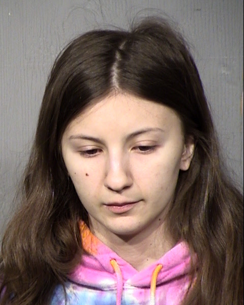 Sanela Sabic Mugshot / Maricopa County Arrests / Maricopa County Arizona Arrests Sanela Sabic Mugshot / Maricopa County Arrests / Maricopa County Arizona