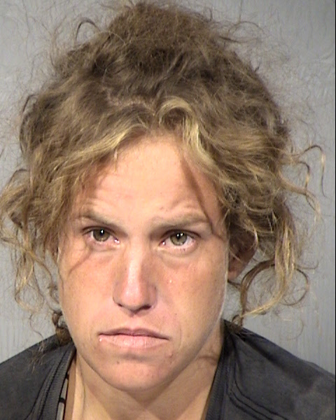 Ashley Marie Howland Mugshot / Maricopa County Arrests / Maricopa County Arizona