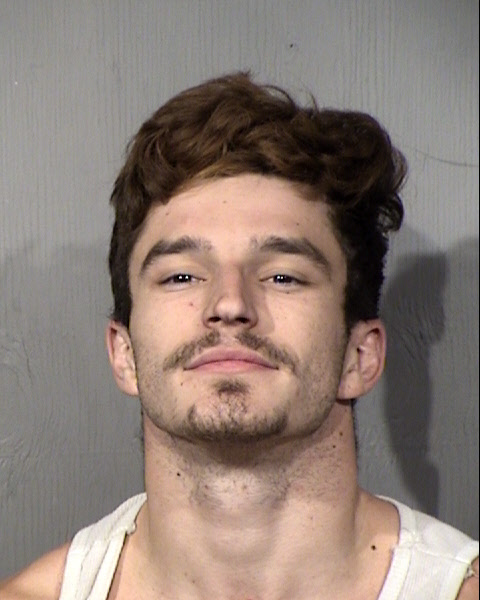 Michael Christian Delaney Mugshot / Maricopa County Arrests / Maricopa County Arizona