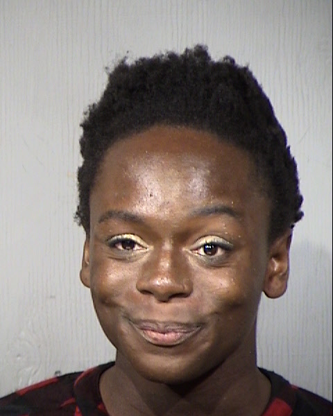 Michael Hutchins Mugshot / Maricopa County Arrests / Maricopa County Arizona