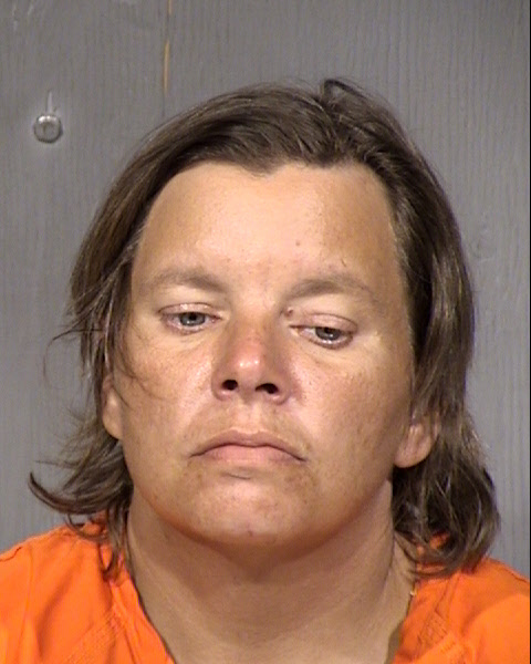 Jennifer Ann Banister Mugshot / Maricopa County Arrests / Maricopa County Arizona