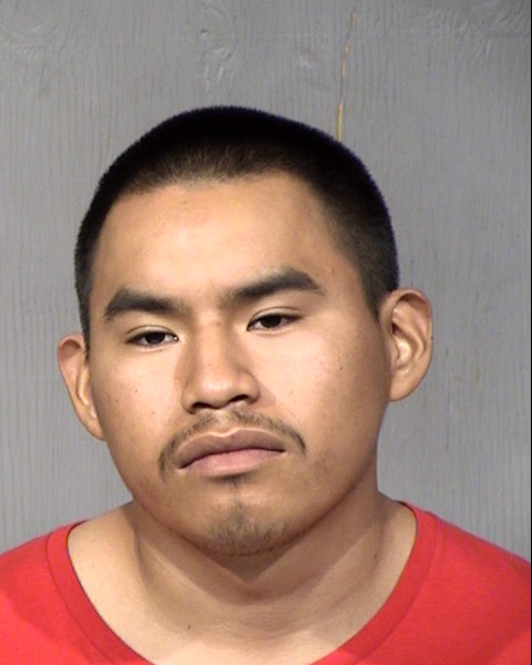 Stephan Joseph Lewis Mugshot / Maricopa County Arrests / Maricopa County Arizona