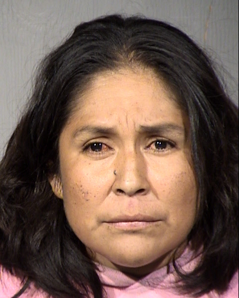 Trina Ranae Elgo Mugshot / Maricopa County Arrests / Maricopa County Arizona