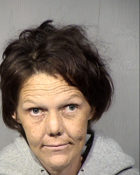 Misty Marie Steffen Mugshot / Maricopa County Arrests / Maricopa County Arizona