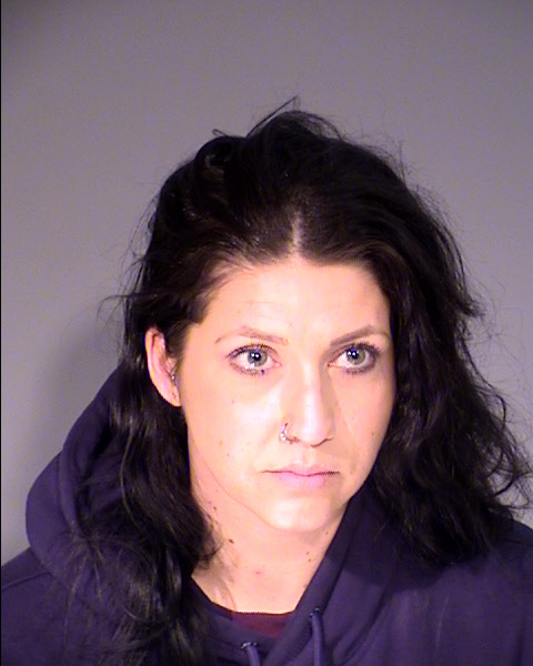 Justine Renee Seitzinger Mugshot / Maricopa County Arrests / Maricopa County Arizona