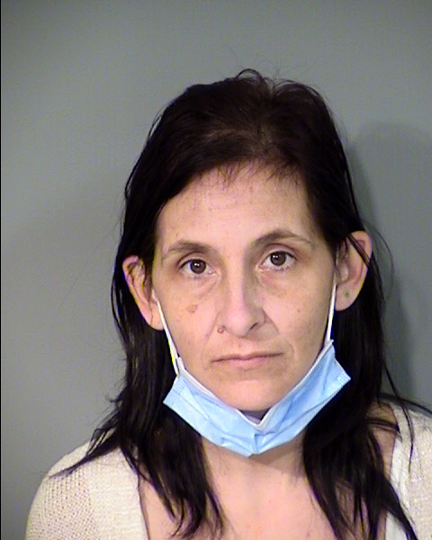 Cynthia Elizabeth Smith Mugshot / Maricopa County Arrests / Maricopa County Arizona