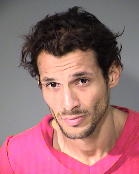 Daniel Lee Widgeon Mugshot / Maricopa County Arrests / Maricopa County Arizona