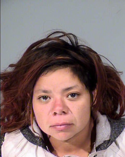 Monalissa Ranae Salazar Mugshot / Maricopa County Arrests / Maricopa County Arizona