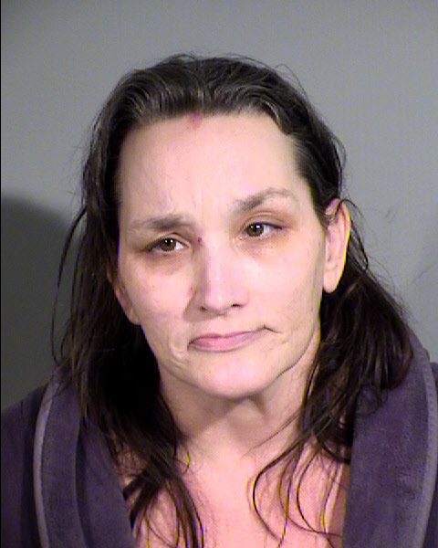 Sara O Knauer-Stump Mugshot / Maricopa County Arrests / Maricopa County Arizona