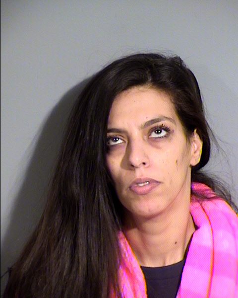 Salma R Hourieh Mugshot / Maricopa County Arrests / Maricopa County Arizona