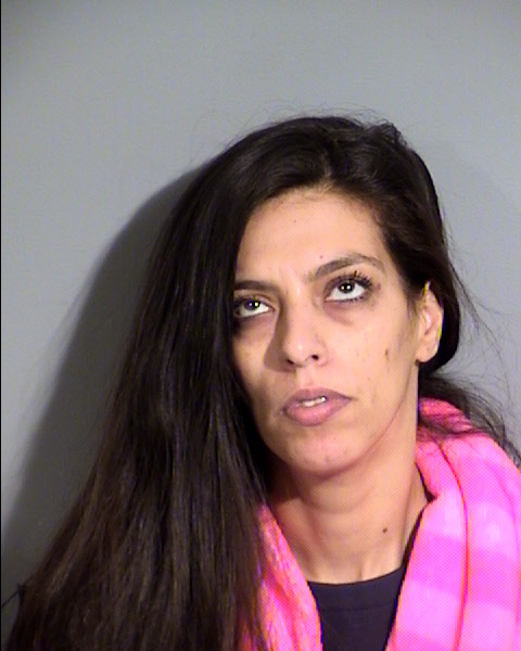 Salma R Hourieh Mugshot / Maricopa County Arrests / Maricopa County Arizona Arrests Salma R Hourieh Mugshot / Maricopa County Arrests / Maricopa County Arizona