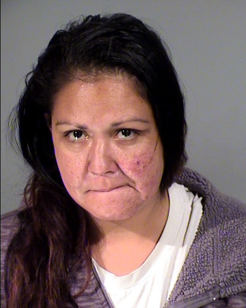 Elizabeth Chavez-Almejo Mugshot / Maricopa County Arrests / Maricopa County Arizona