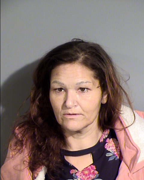 Windy Danielle Thompson Mugshot / Maricopa County Arrests / Maricopa County Arizona