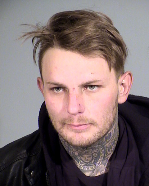 Dylan Joseph Timothy Mugshot / Maricopa County Arrests / Maricopa County Arizona