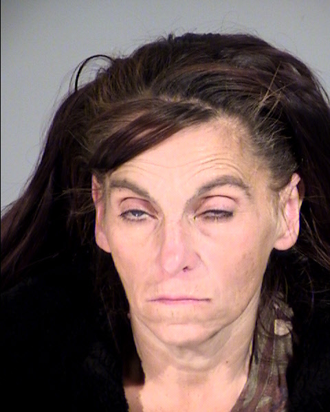 Darlene Ann Cornett Mugshot / Maricopa County Arrests / Maricopa County Arizona