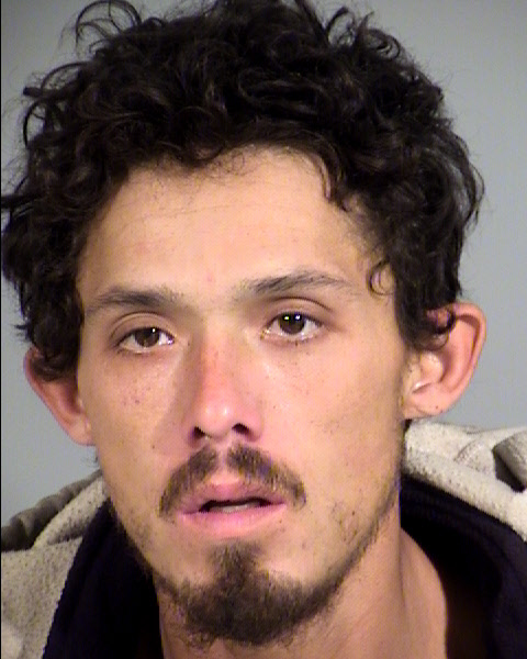 Brian Wesley Aaron Brown Mugshot / Maricopa County Arrests / Maricopa County Arizona