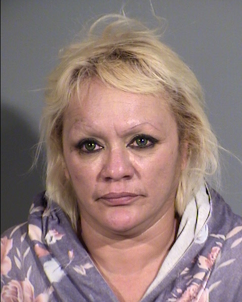 Sandra Salinas Mugshot / Maricopa County Arrests / Maricopa County Arizona