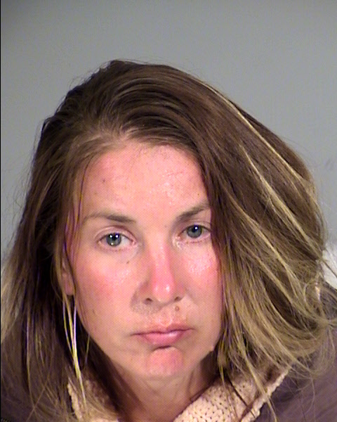 Megan Christine Berlinger Mugshot / Maricopa County Arrests / Maricopa County Arizona