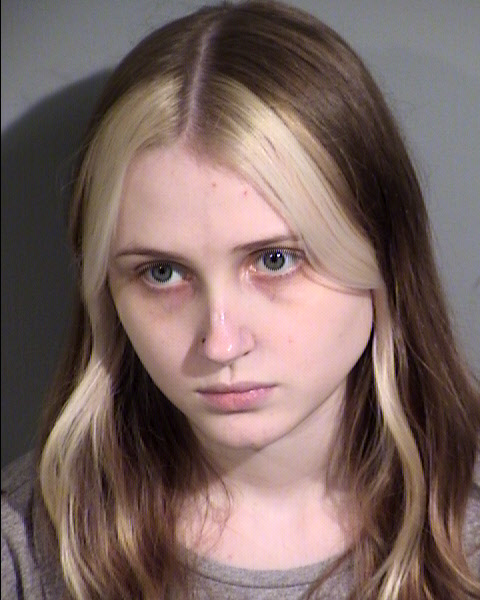 Allison Frances Austin Mugshot / Maricopa County Arrests / Maricopa County Arizona