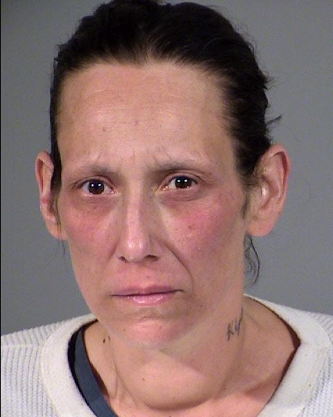 Bernadette Erlinda Shalberg Mugshot / Maricopa County Arrests / Maricopa County Arizona