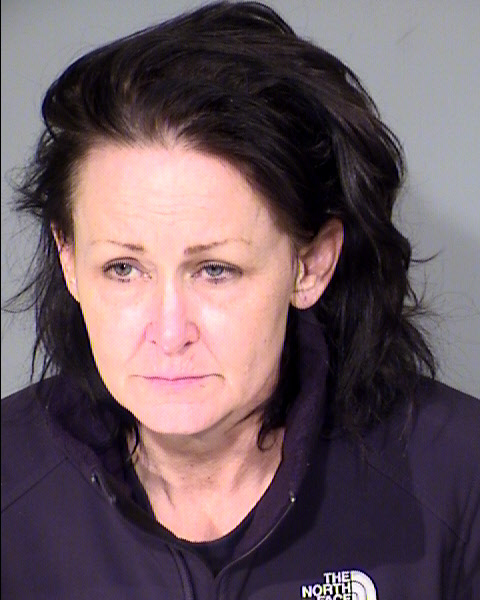 Cynthia S Christesen Mugshot / Maricopa County Arrests / Maricopa County Arizona