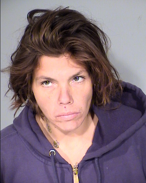 Tracy Beth Lindberg Mugshot / Maricopa County Arrests / Maricopa County Arizona