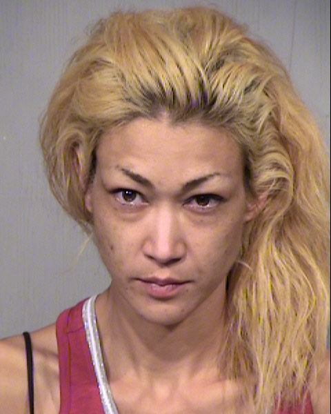 TIFFANY ANN LANE Mugshot / Maricopa County Arrests / Maricopa County Arizona