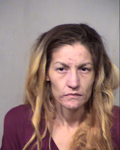HEATHER ALBERTA GIBSON Mugshot / Maricopa County Arrests / Maricopa County Arizona