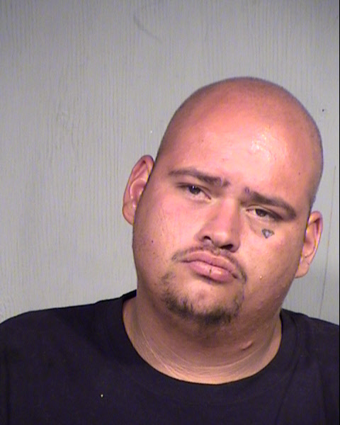 MICHAEL ANTHONY TURNER Mugshot / Maricopa County Arrests / Maricopa County Arizona