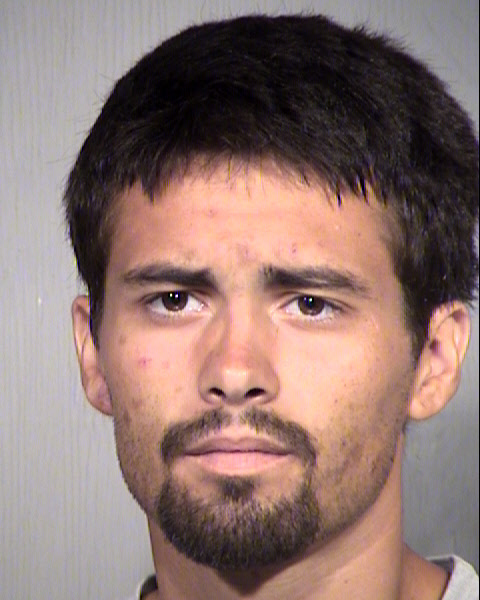 SHANE THOMAS DELAURENTIS Mugshot / Maricopa County Arrests / Maricopa County Arizona