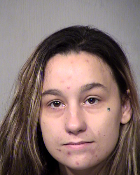 MEGAN ANN RIDDELL Mugshot / Maricopa County Arrests / Maricopa County Arizona