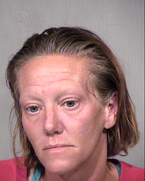 COLLEEN MARIE LAEL Mugshot / Maricopa County Arrests / Maricopa County Arizona