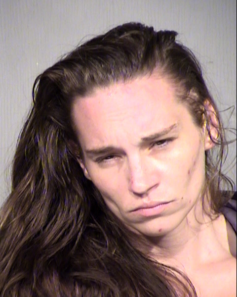 JAMIE LEE BALTHIS Mugshot / Maricopa County Arrests / Maricopa County Arizona